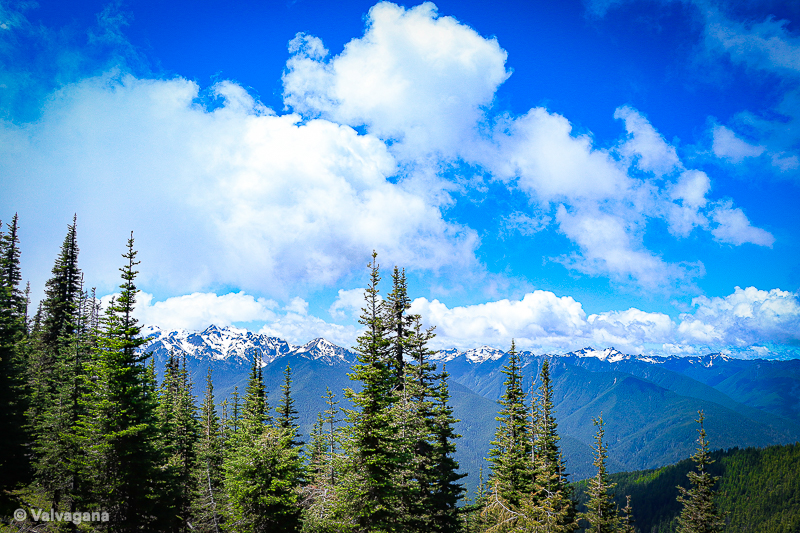 Picture of a mountain range in Crater Lake National Park