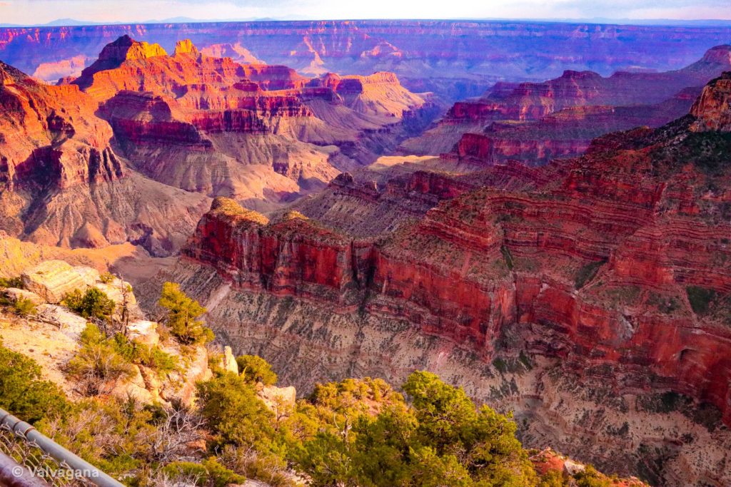 Picture of the Grand Canyon from the north rim entrance